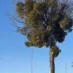 #fuleda#gizycko Fuledzianka Na Mazurach #bania #jacuzziklimat *