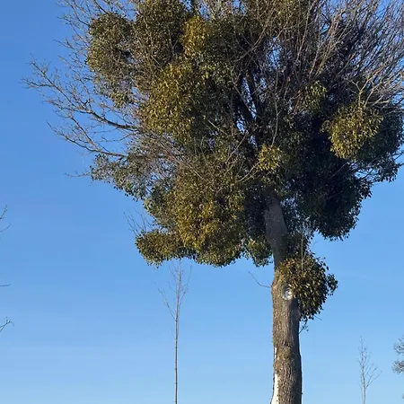 #fuleda#gizycko Fuledzianka Na Mazurach #bania #jacuzziklimat *